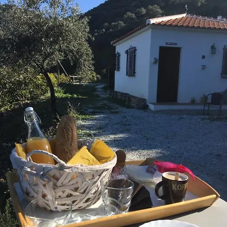 Floretta La Cochera - El Naranjo Bed & Breakfast Canillas de Albaida