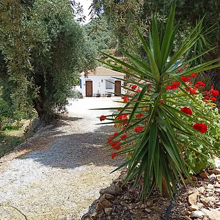 Bed & Breakfast Floretta La Cochera - El Naranjo
